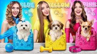 ¡Perro Rosa vs Azul vs Amarillo! Adoptamos Perros de un Solo Color