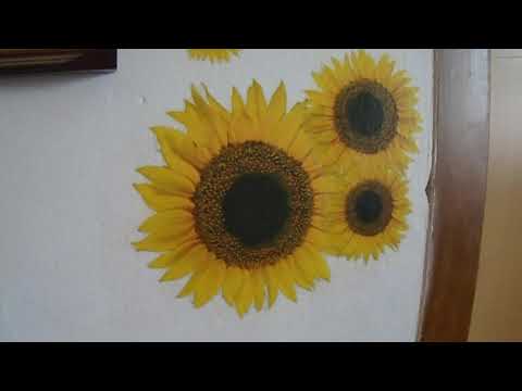 Video: Co Umělci Malovali Slunečnice