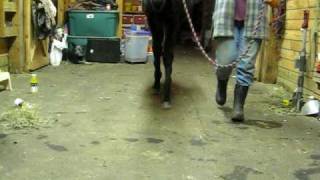 Scinder-Walk-12-26-08