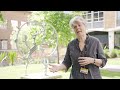 UNSW Biomedical Engineering Alumni - Prof Anne Simmons