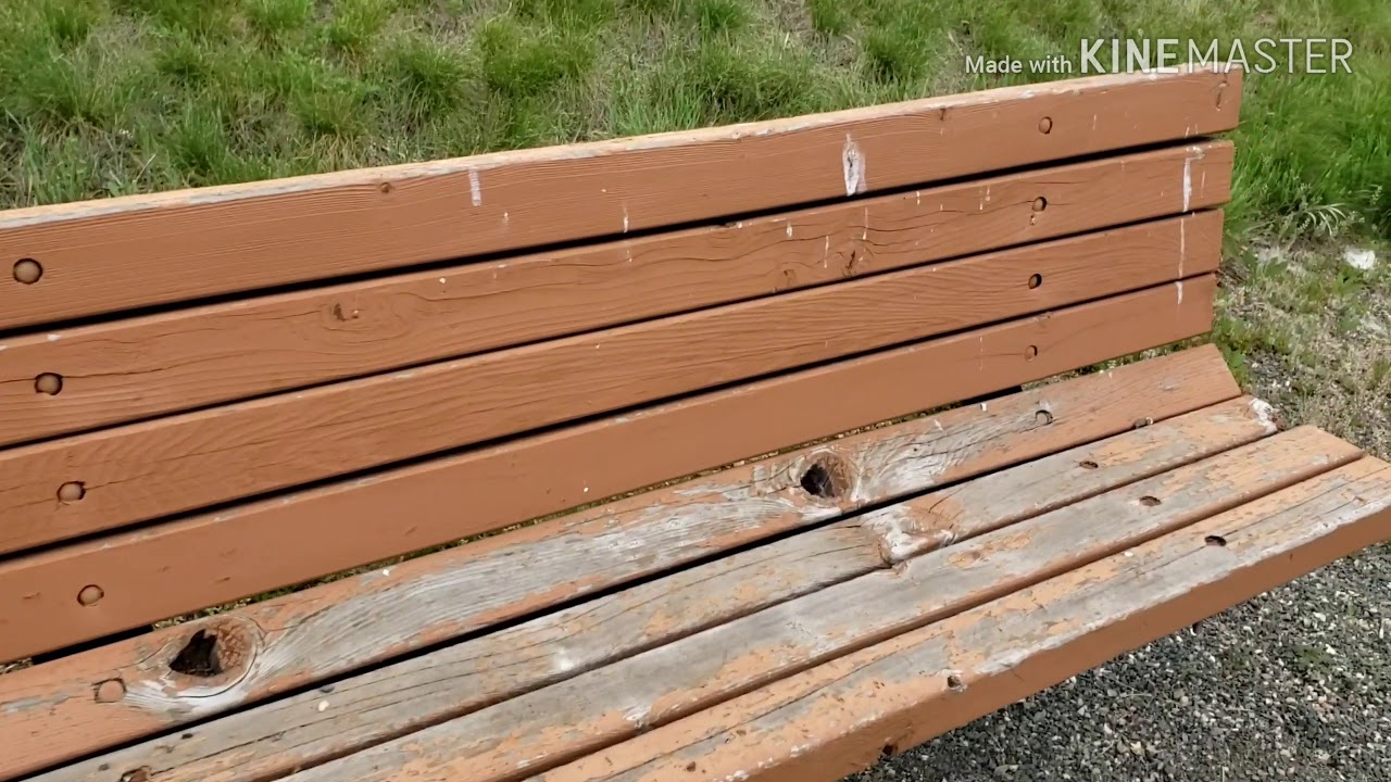 A walk on the Rock Creek trail and a look at Williams Field in Superior