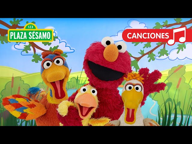 Plaza Sésamo: ¡Elmo y sus amigos patitos! | Canción class=