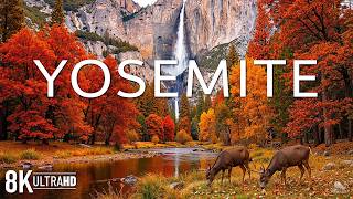 Yosemite National Park in Autumn 8K 🍁 Discover Half Dome, El Capitan & Fall Colors | Video 8K