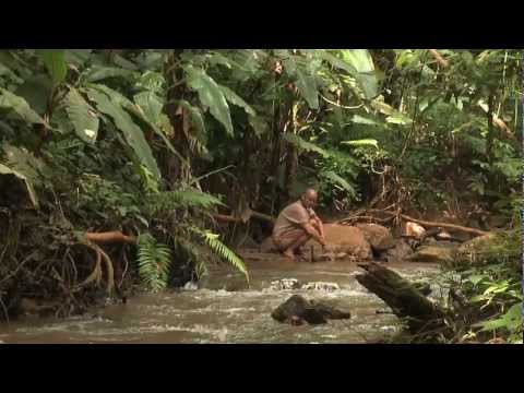 Thailand Video Post Card: Long Version