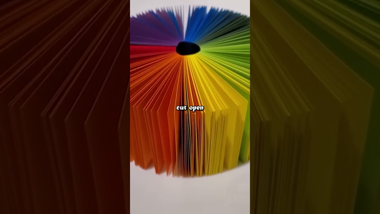 Facts you should know about your tools! 🛠️🔍