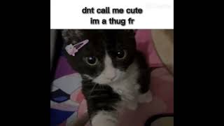 I am a thug