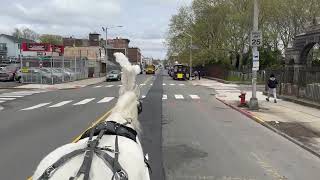 Funeral Carriage at The Family Funeral Home Jersey City NJ