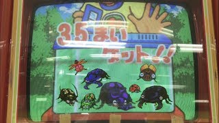 キッズメダルゲーム】虫とり名人 全て捕まえる！ - YouTube