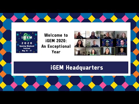 Welcome to iGEM