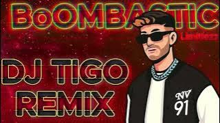 Shaggy - BoOMBASTIC(Limitlezz & DJ TIGO)RemiX 2025