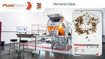 Almond Nibs Sorting with Fenix