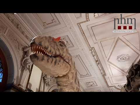 T-REX lebt - Sauriersaal | Naturhistorisches Museum Wien | silberquelle