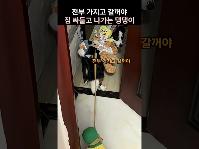 한바가지 싸들고 나가는 댕댕이