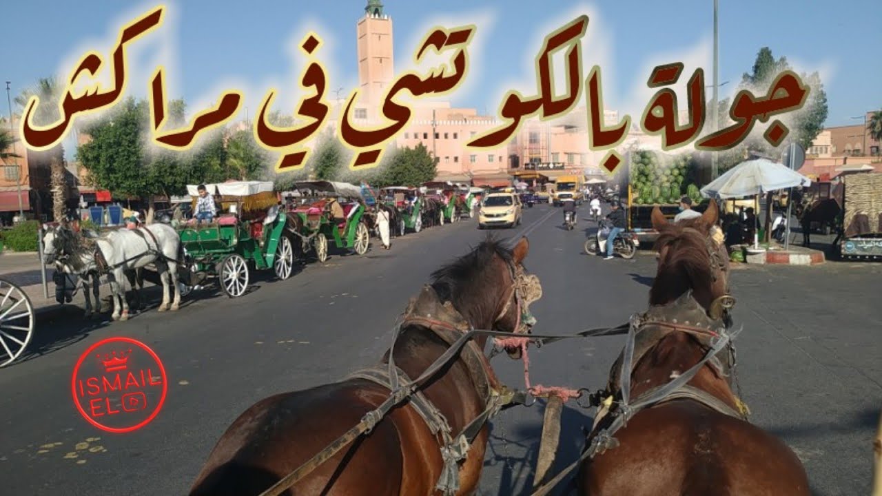 جولة بالكوتشي في مراكش