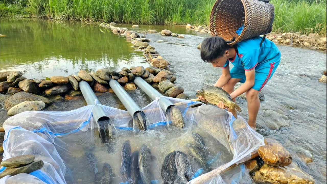 Nam's boy used stacked rocks,water pipes to create a very effective fish trap to catch fish for sale