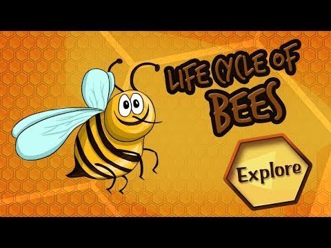 ISA activity on Honey Bee - YouTube