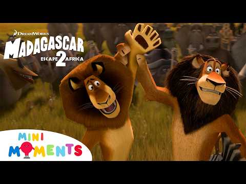 A Family Reunion! 🦁🦒🦛🦓 | Madagascar: Escape 2 Africa | Mini Moments
