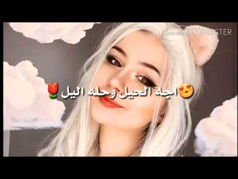 اجه الحب الكلب حب