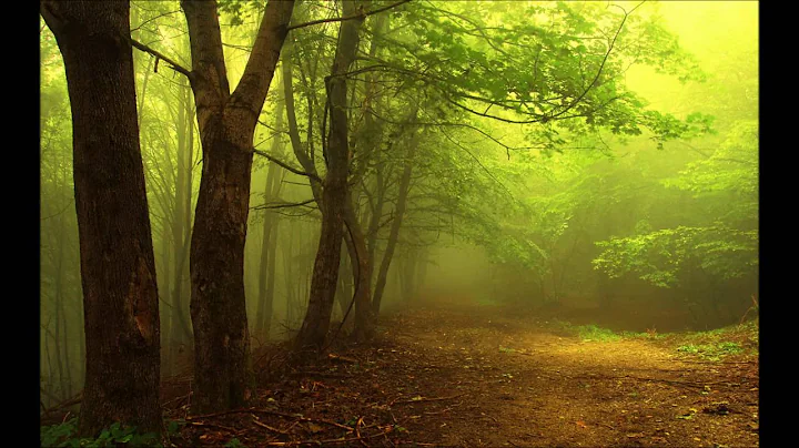 Steve Hackett - Spectral Mornings (full album)