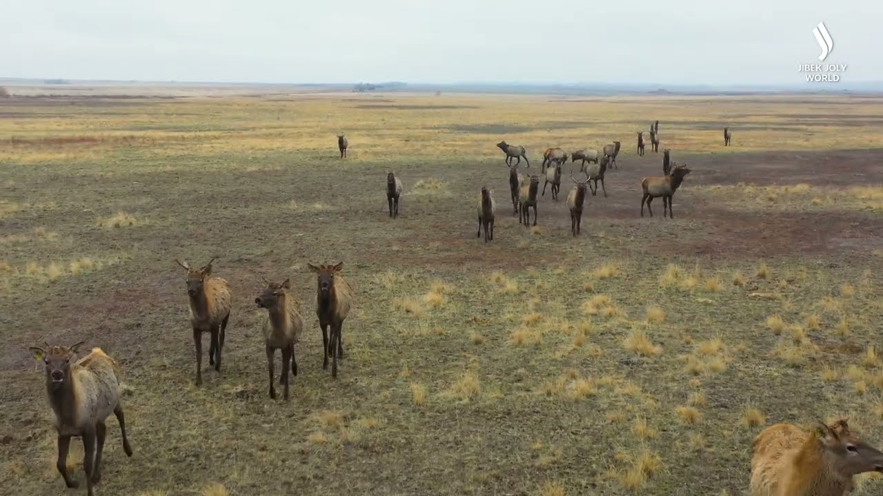 Ақтолағай үстірті, Қарғалы өзені | Қазақстанды көктен қарағанда