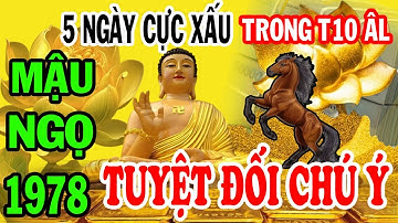 Cảnh Báo 5 Ngày Cực Xấu MẬU NGỌ 1978 Phải Chú Ý, Hốt Trọn Lộc Trời Nghèo Đến Mấy Cũng Giàu To T10 ÂL