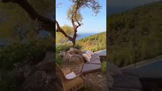 Best natural relaxing video ever #shorts