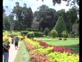 Botanischer Garten in Peradeniya Sri Lanka