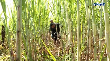 Nâng cao đời sống cho đồng bào dân tộc thiểu số