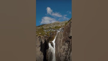 واتس اب قران كريم القارئ ياسر دوسري (سوره النحل)