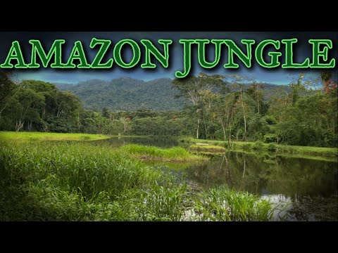 Exploring Manu Biological Station’s Lake