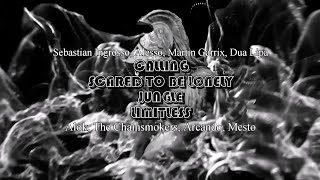 Calling X Scared To Be Lonely X Jungle X Limitless martin Garrix Sziget 2024 Mashup