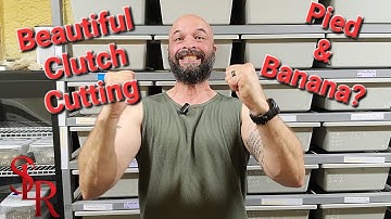 Amazing Clutch Cutting. Banana Pied Ball Pythons. You have to see this!