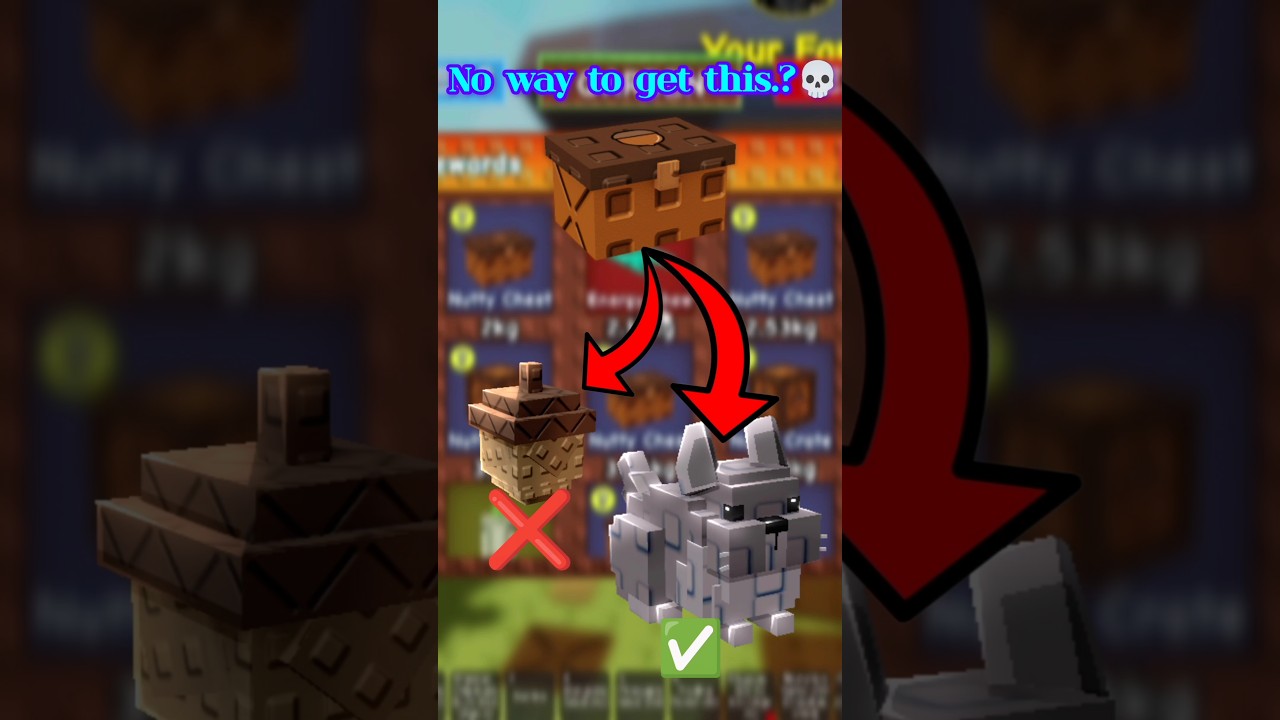 🛑Новый питомец OP Шиншилла💥 