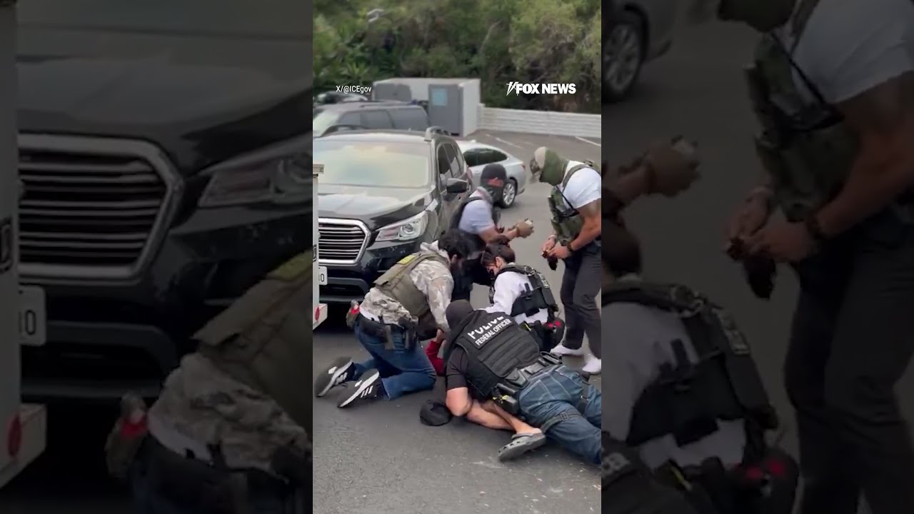 Illegal Migrant Resists Arrest During Dramatic Takedown Shorts Foxnews News Usa Immigration