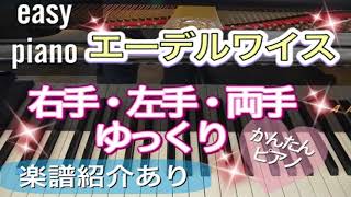 【ピアノ初心者】エーデルワイス【ピアノ簡単】【譜読用ゆっくり】【独学ピアノ】