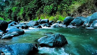 Relaxing River Sounds for Sleep – Gentle Nature Flow for Meditation & Deep Calm #202