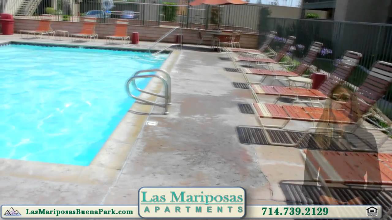 Las Mariposas Apartments Video Tour YouTube