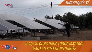 Iraq: Sử dụng năng lượng mặt trời vào sản xuất nông nghiệp