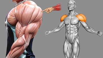 9 Exercises to Get Huge Shoulder in Record Time