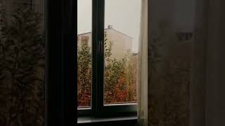 Ahmet Telli ~ Hâlâ Koynumda Resmin (Yorum: Eser Gökay)