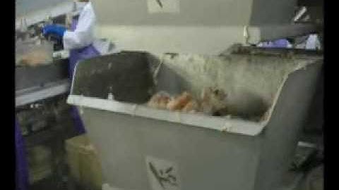 Weigh and Dump Hopper Scale