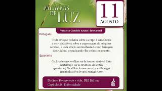 Palavras de Luz em Português e Esperanto – 11/08/2023