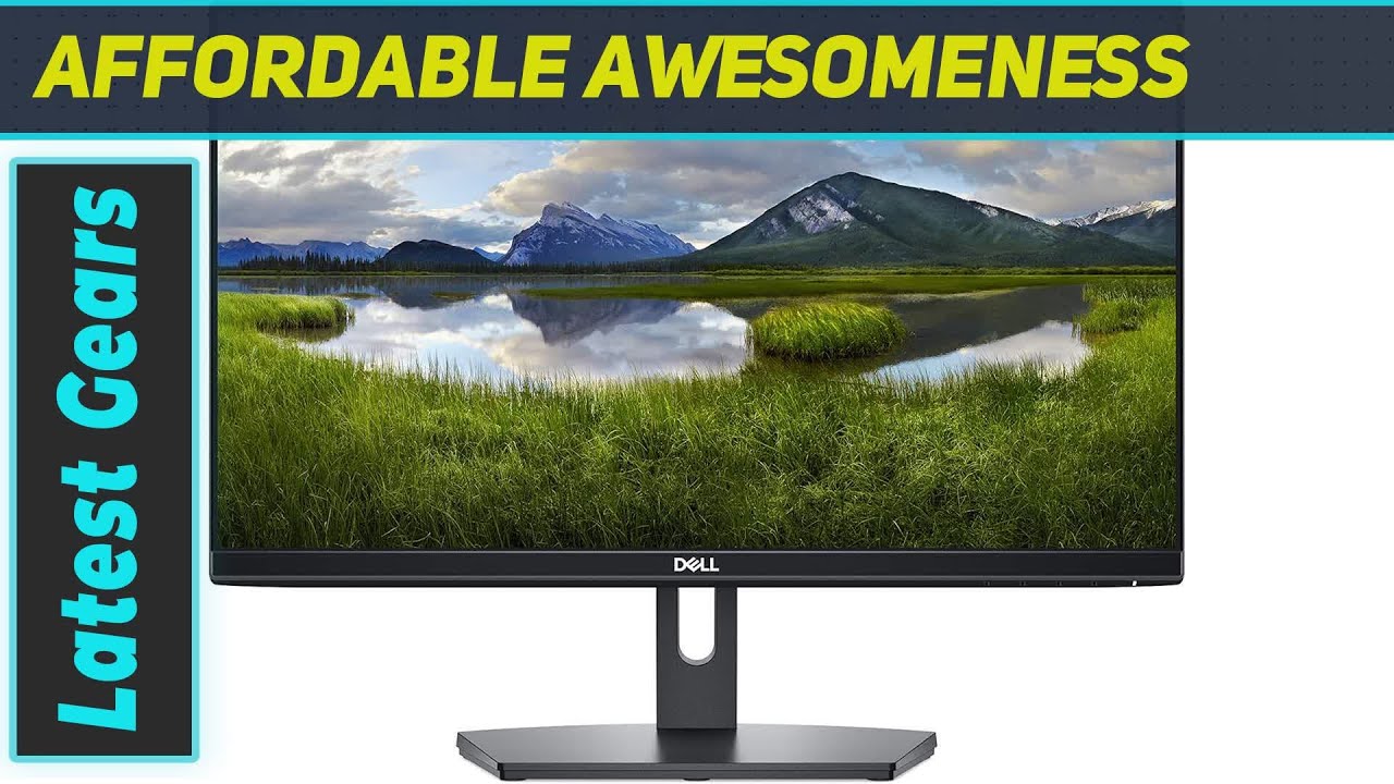 Dell SE2219H 22