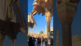 Masjid-e-Nabwi #TheProphet's Mosque #islamicvideo #youtubeshorts #masjid #madina #madinakareebse