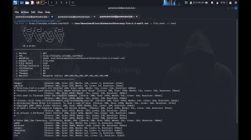 Comprehensive Guide on WebFuzzing - ffuf