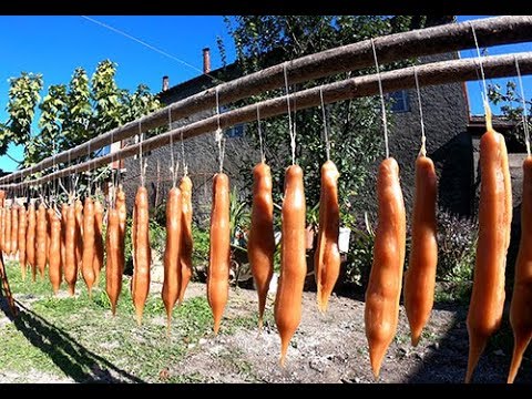 რთველი | ყურძნის დაწურვა | ჩურჩხელის ამოვლება