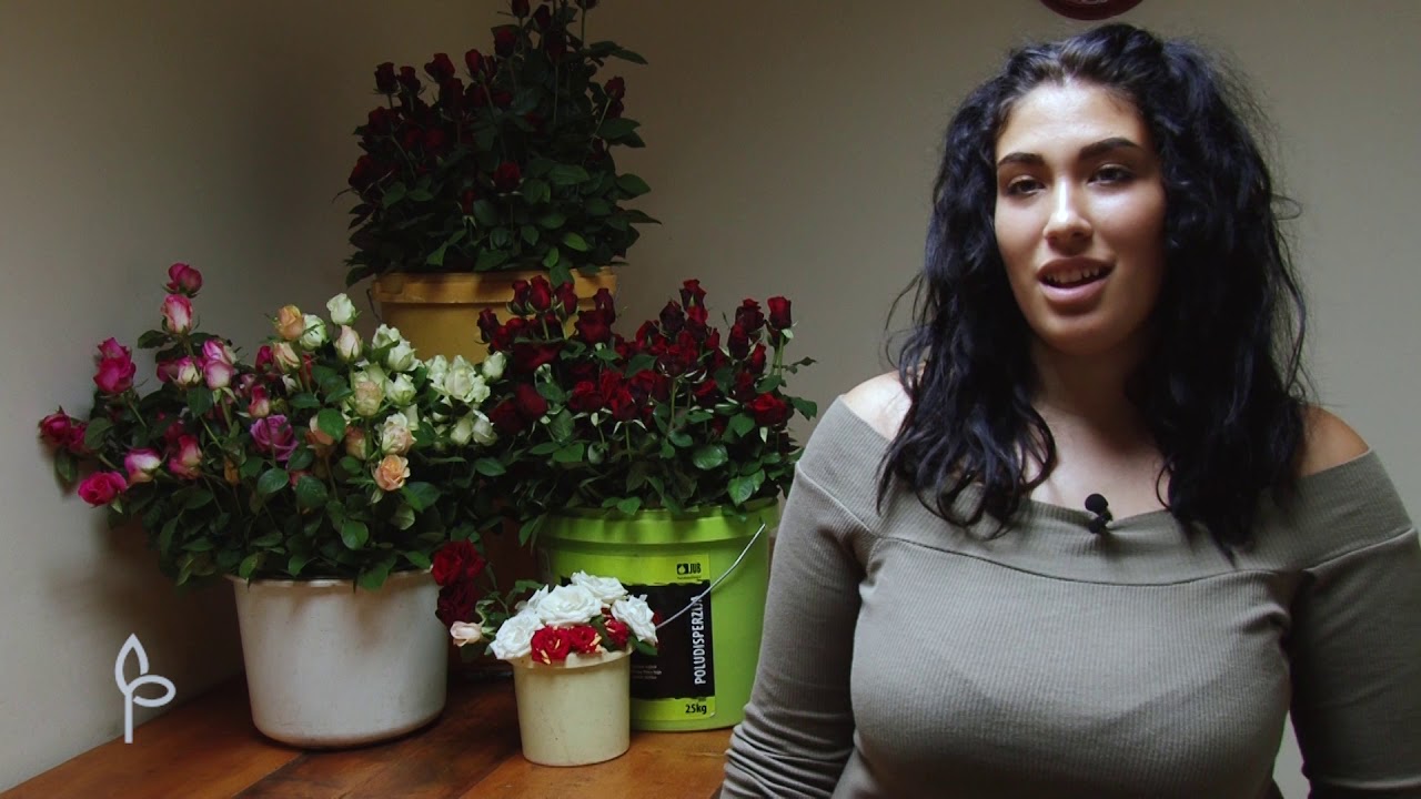 Ulog za profit ep. 1 08.10.2019. - Cvećarstvo, proizvodnja jagoda...