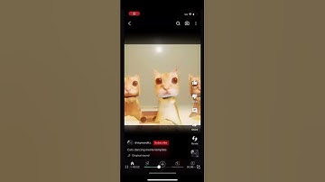 Thumbnail of EL GATO DANCING #short @sigmaeditz