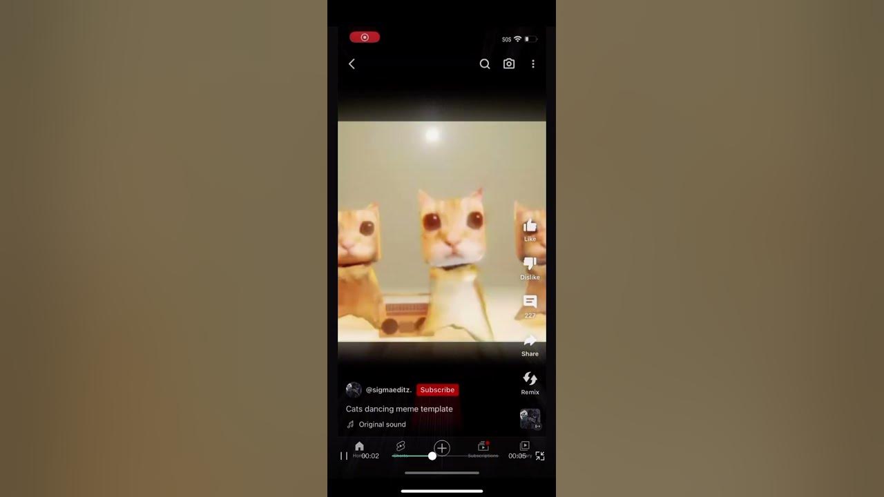 EL GATO DANCING #short @sigmaeditz