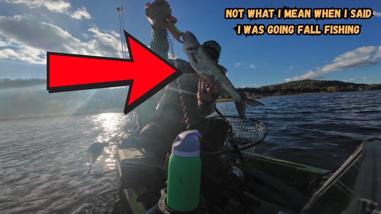 Bass Fishing a New Lake | Breaking Down Water & Catching Multiple Species (Episode 2)